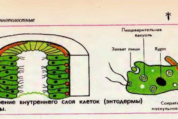 Как зайти на кракен в торе